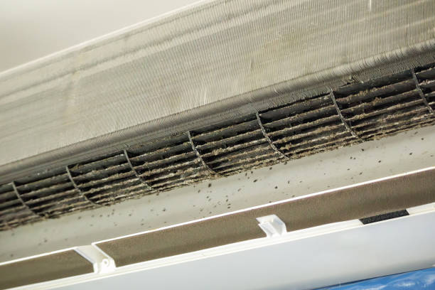 Best Affordable Air Duct Cleaning  in Natalia, TX